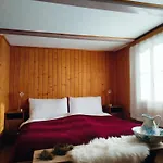 Sonnenhof - Wengens Original Kurhaus 旅馆 *