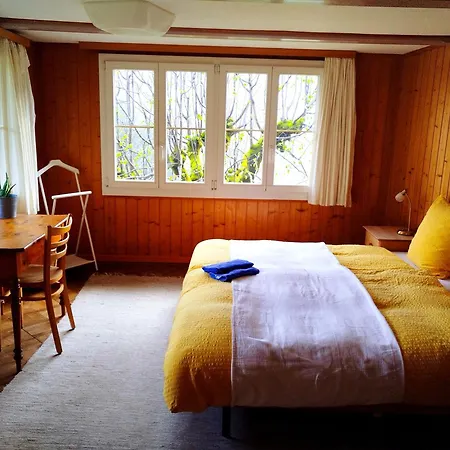 Sonnenhof - Wengens Original Kurhaus Hostel