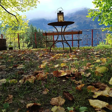 Hostel Sonnenhof - Wengens Original Kurhaus