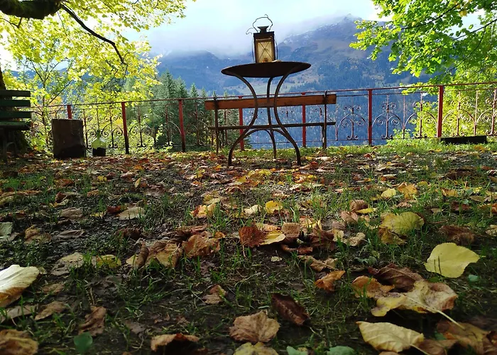 Hostel Sonnenhof - Wengens Original Kurhaus