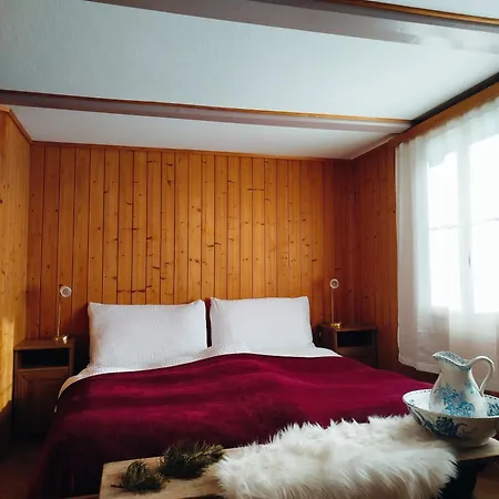 Sonnenhof - Wengens Original Kurhaus Hostel *